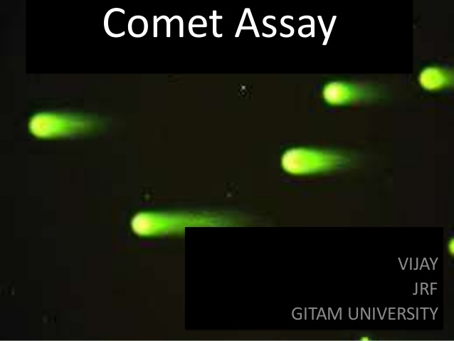 comet assay kit